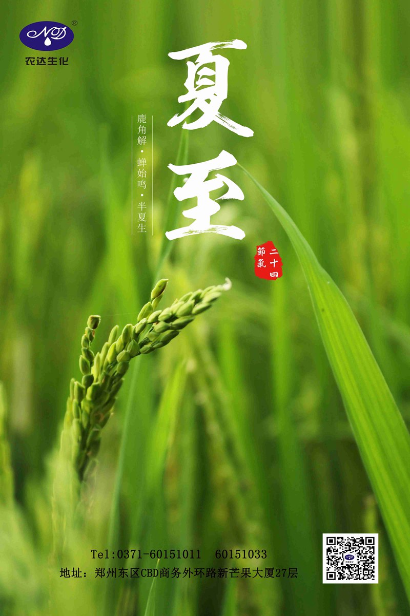 關注農時——夏（xià）至(圖1)