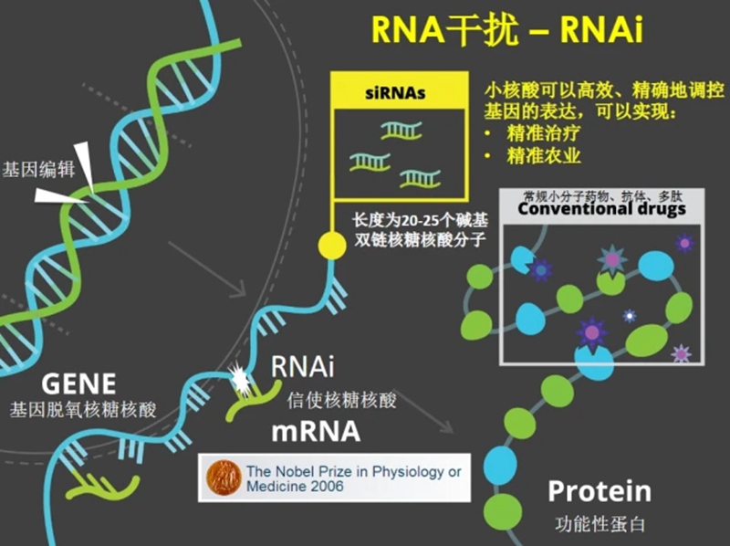 RNA生物農藥商業化及發（fā）展（zhǎn）趨勢(圖1)