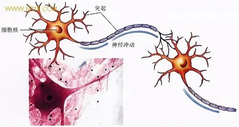 生物農藥連續使（shǐ）用會不會產生抗藥性？(圖1)